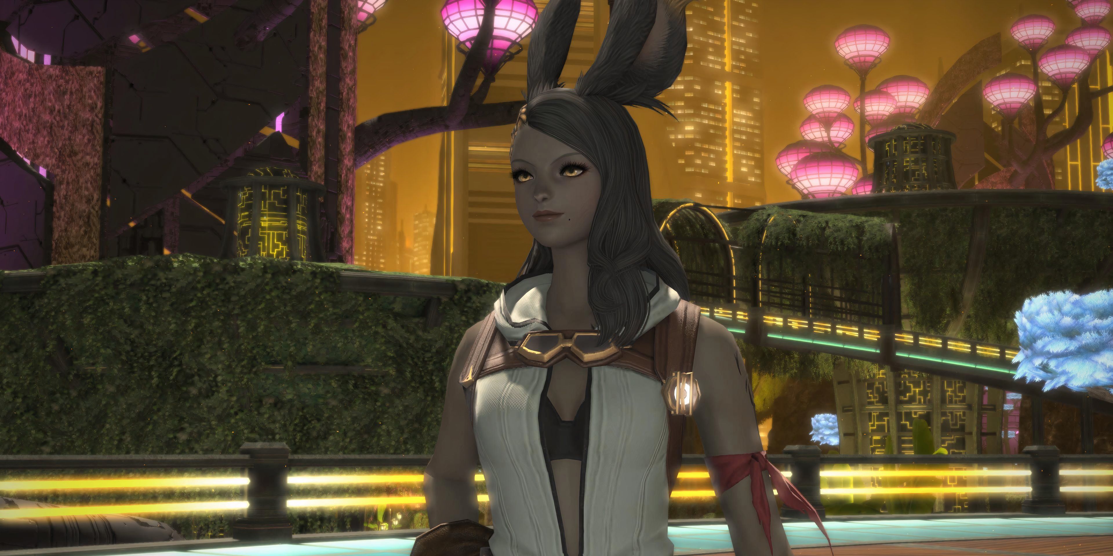 10 Best Final Fantasy XIV: Dawntrail Characters, Ranked