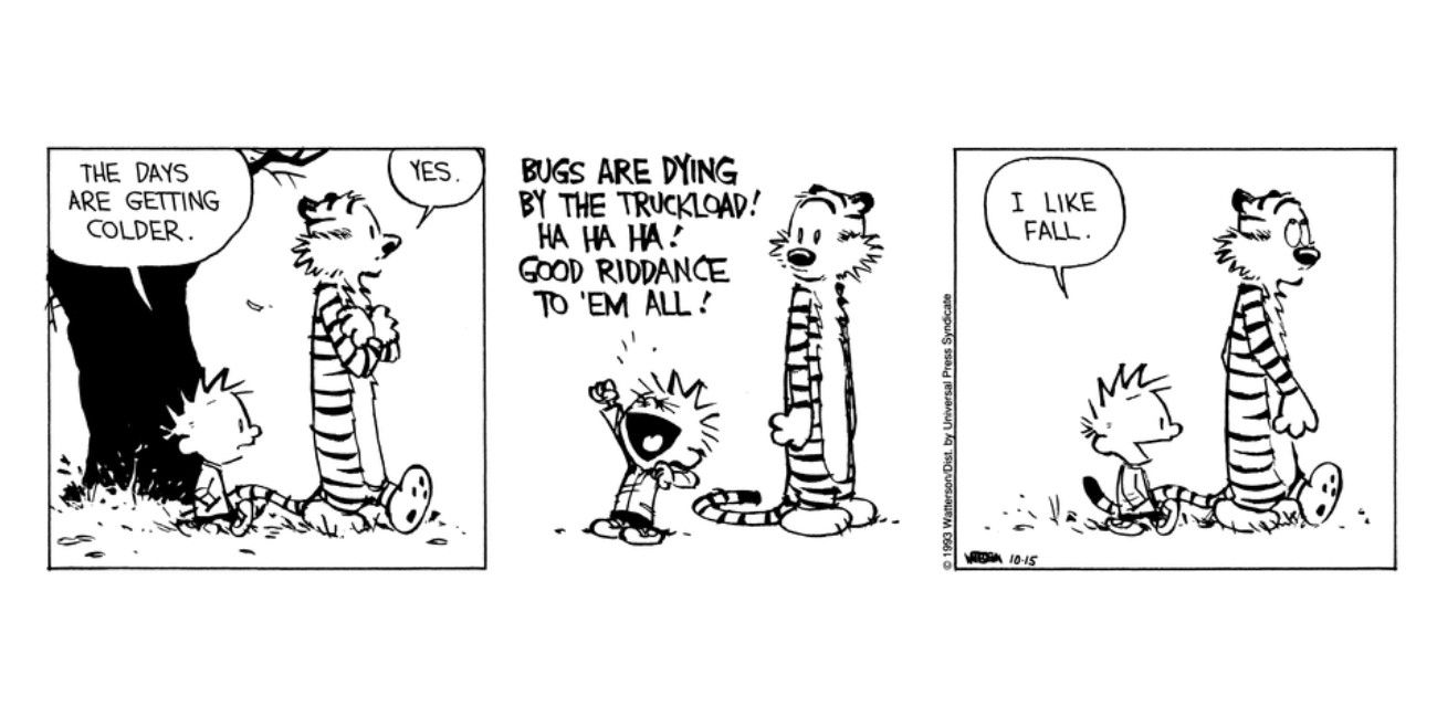 The Funniest Calvin & Hobbes Comics Of All Time