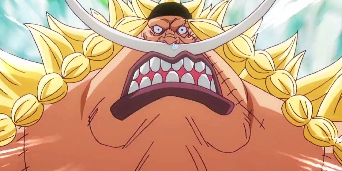 Персонажи One Piece, которым следует вступить в Cross Guild