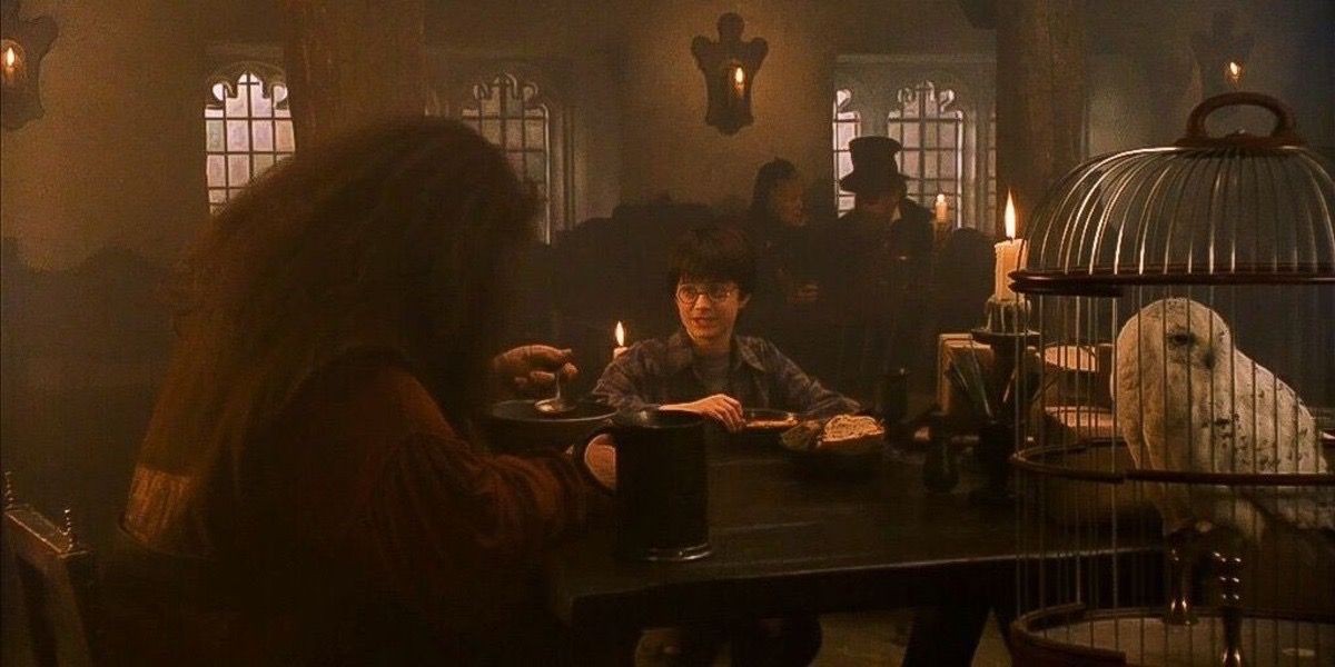 10 Order of the Phoenix Members Most Harry Potter Fans Don't Know About