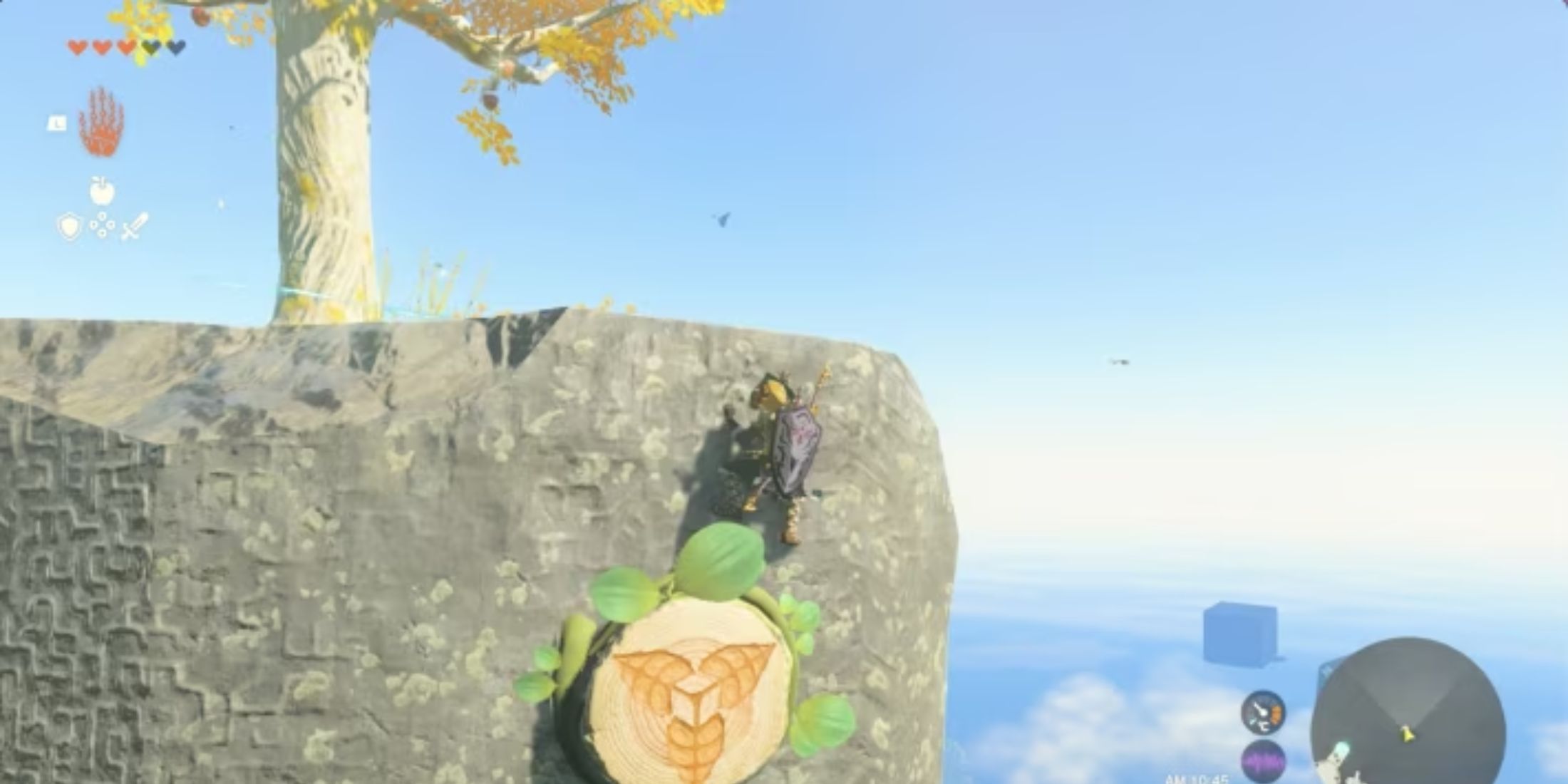 Every Korok Seed Puzzle In Tears of the Kingdom