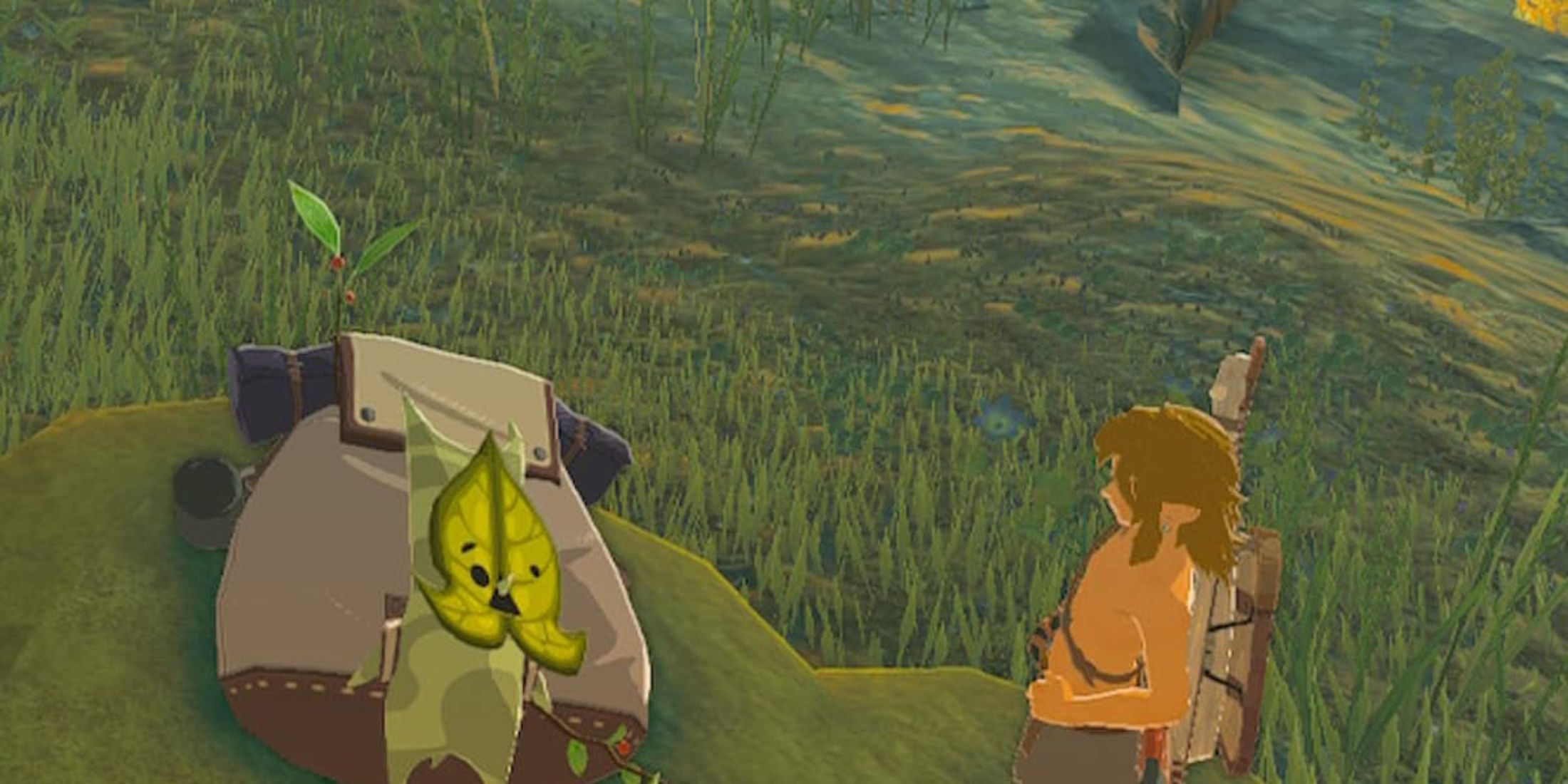 Every Korok Seed Puzzle In Tears of the Kingdom