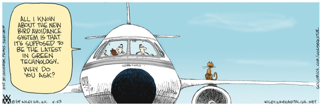 10 Funniest Non Sequitur Comics, Ranked