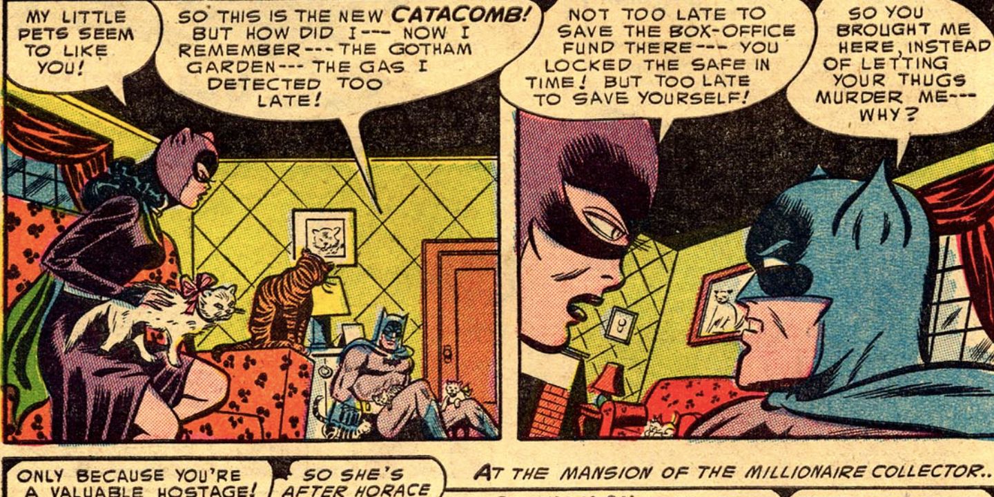 10 Best Comics Where Batman & Catwoman Were Enemies, Ranked