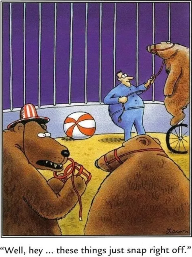 Um urso percebe que pode facilmente remover o focinho em The Far Side.