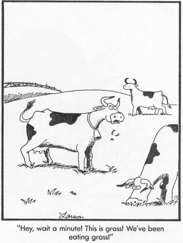 10 Best The Far Side Comics Featuring Farm Animals