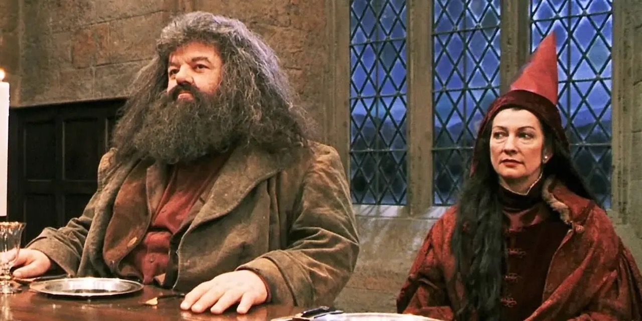 The Smartest Hogwarts Professors You Didn't Know About, Ranked