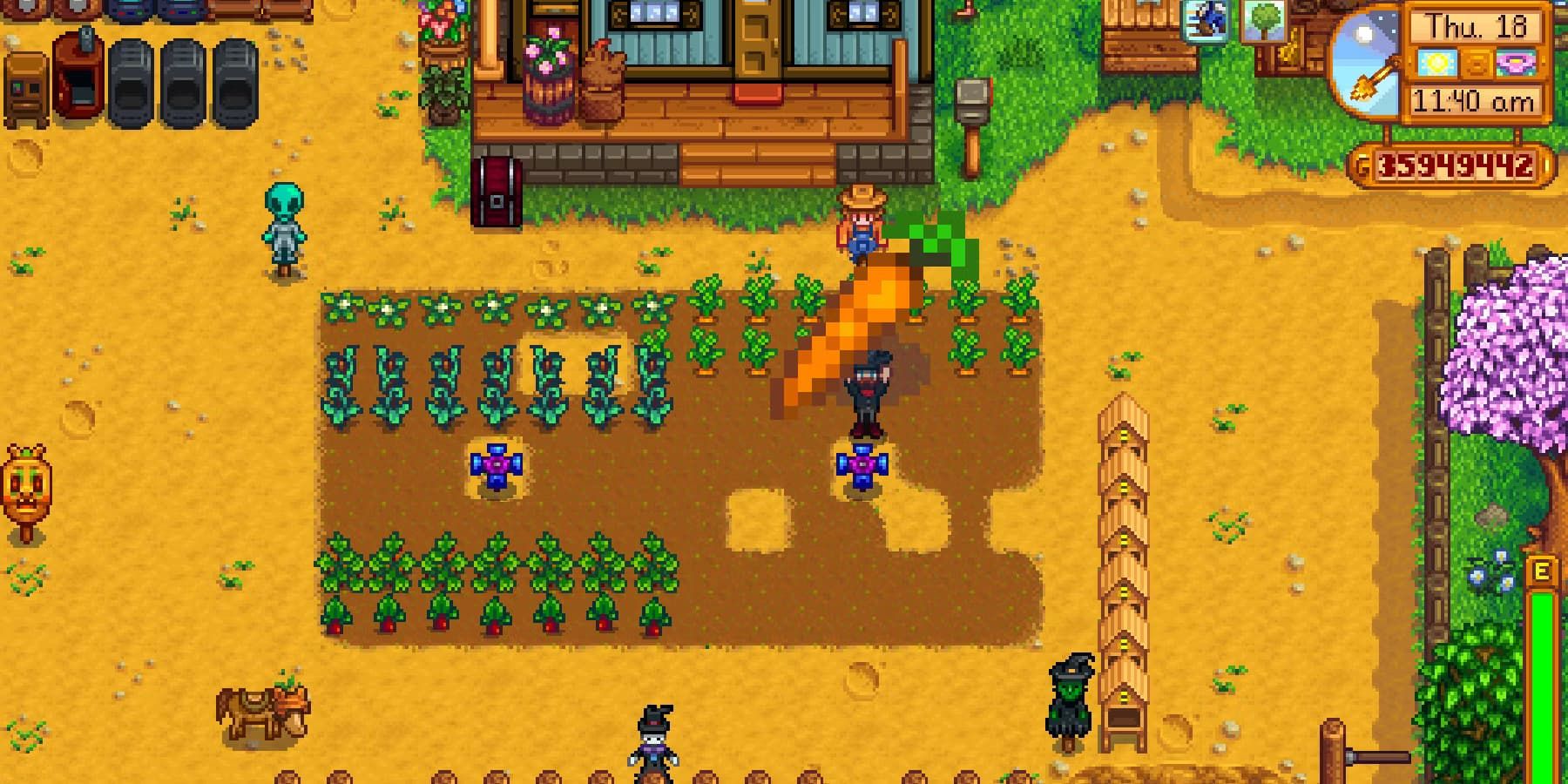 Uma fazenda de cenouras em Stardew Valley.