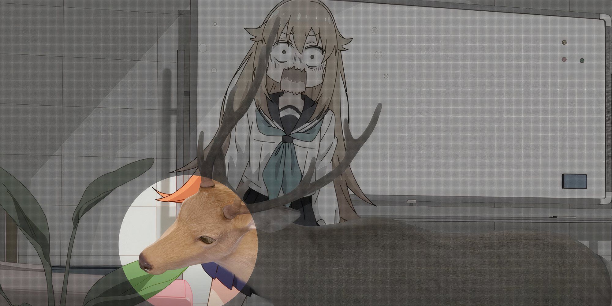 My Deer Friend Nokotan Episode 3 Just Barely Passes the Three Episode Test