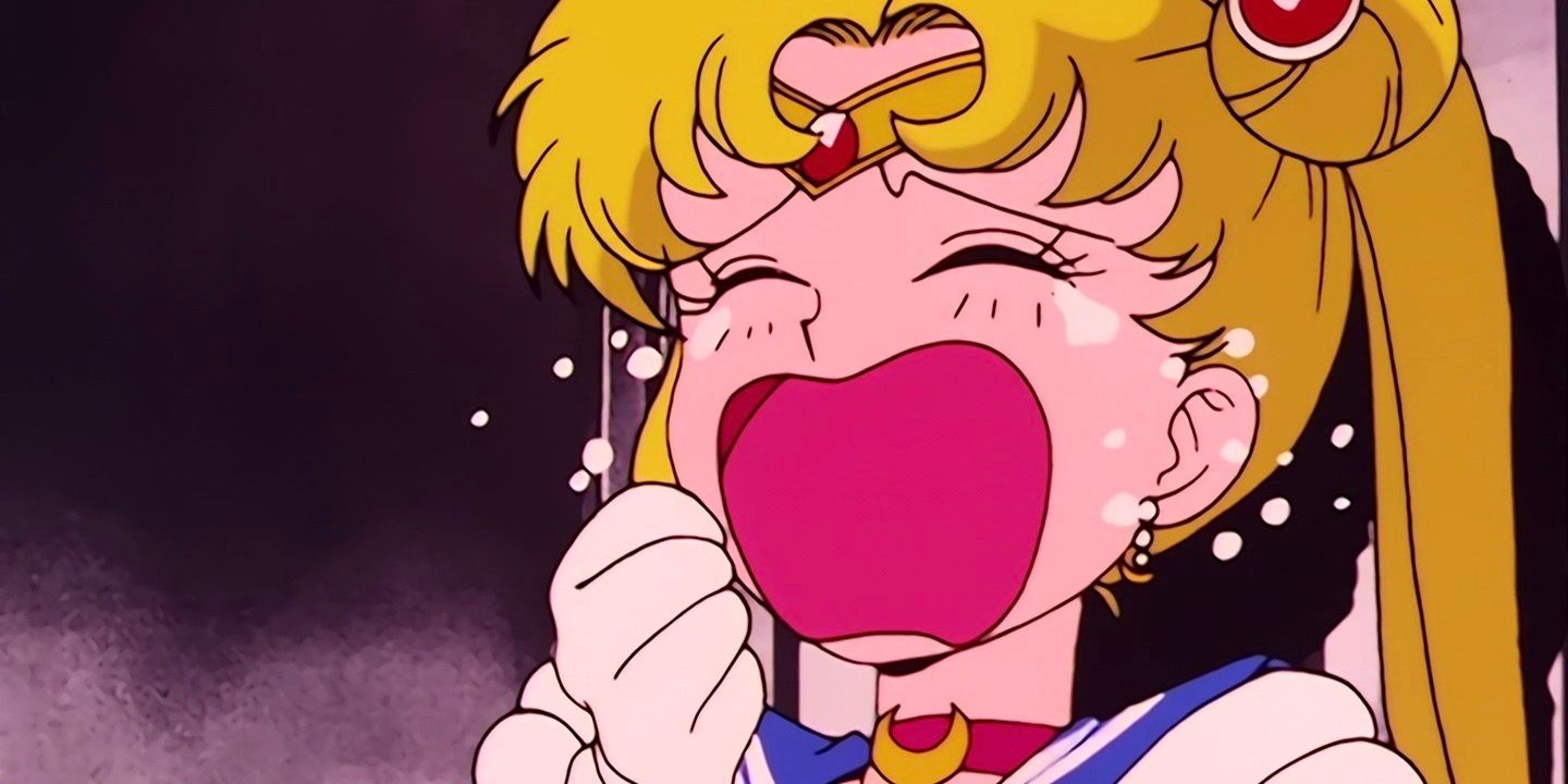 Razones por las que Usagi estaba celosa de Chibiusa en Sailor Moon fue problemático