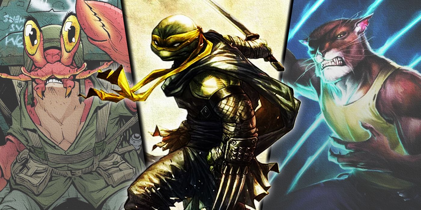 10 New TMNT Characters from the IDW Comics, Ranked