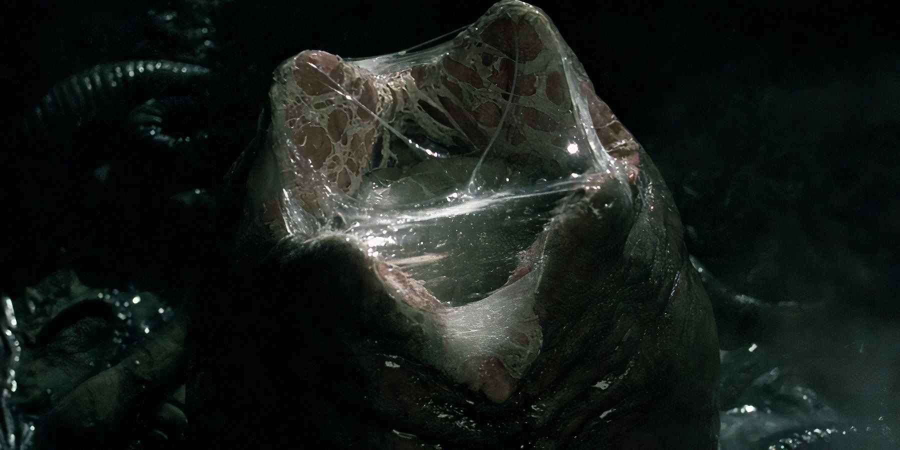 Every Xenomorph From the Alien Movies, Ranked