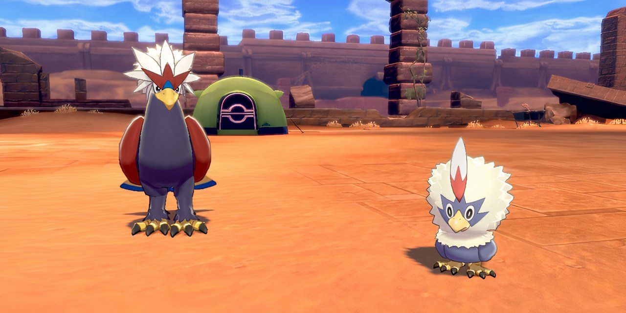 Braviary and Rufflet as they appear in Pokémon Sword and Shield