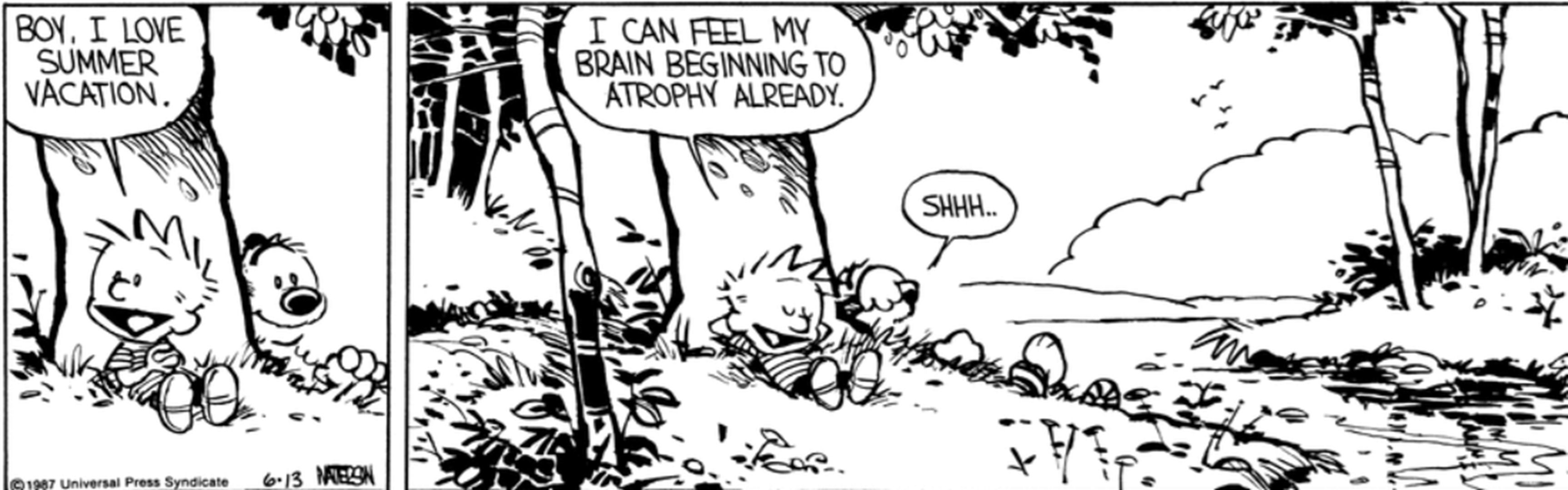 Calvin & Hobbes' Best Summer Adventures