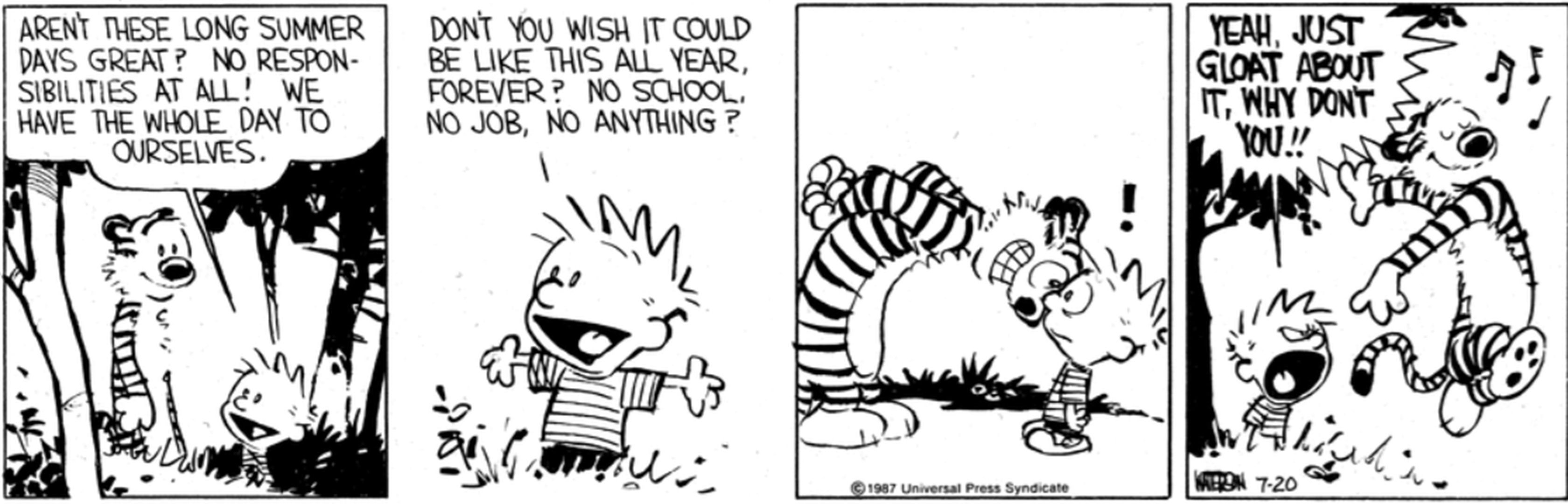 Calvin & Hobbes' Best Summer Adventures