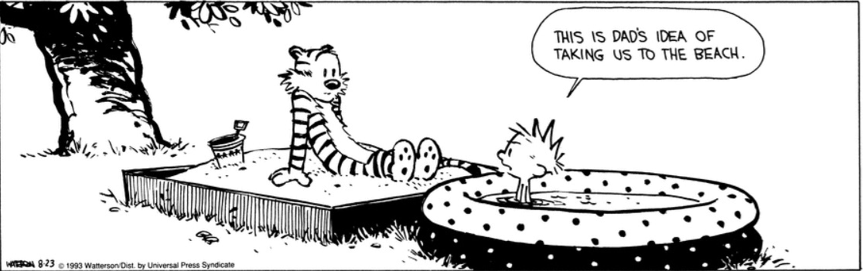 Calvin & Hobbes' Best Summer Adventures