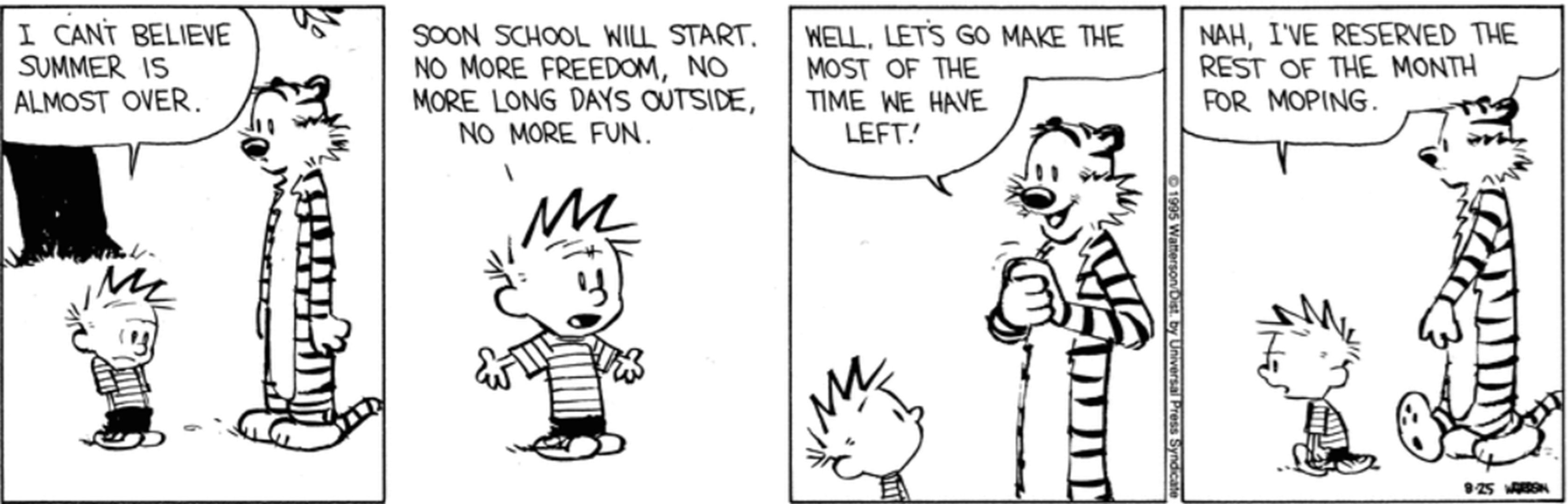 Calvin & Hobbes' Best Summer Adventures