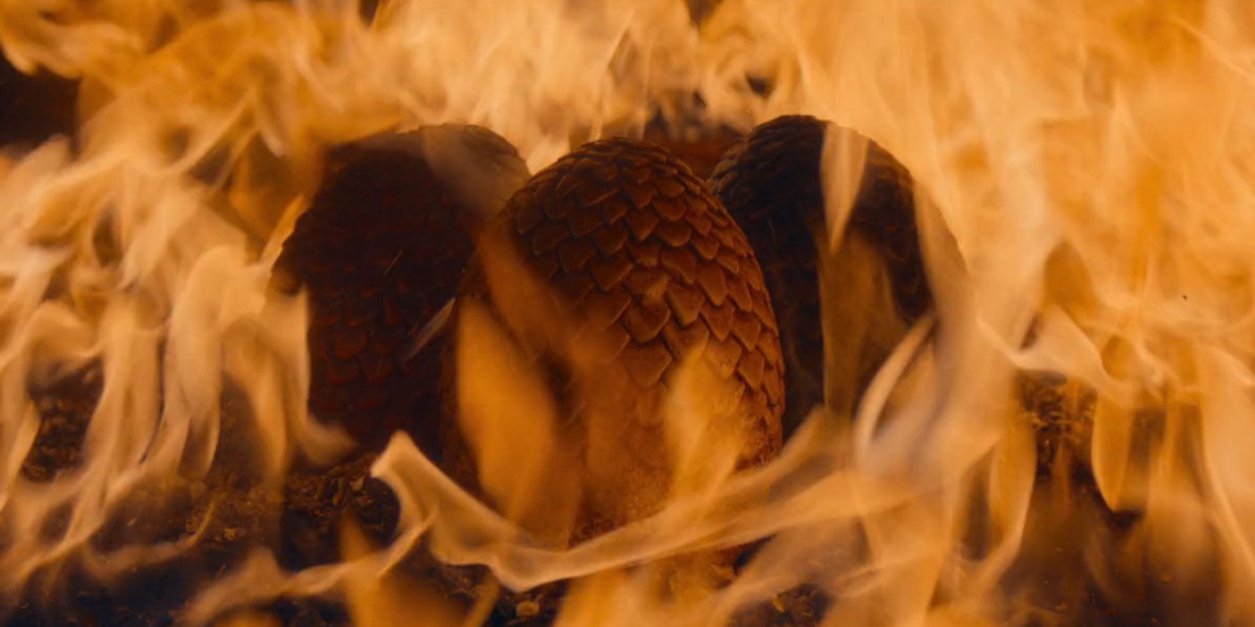 House of the Dragon Proved Your Daemon Targaryen Fan Theories Might Just Be Right