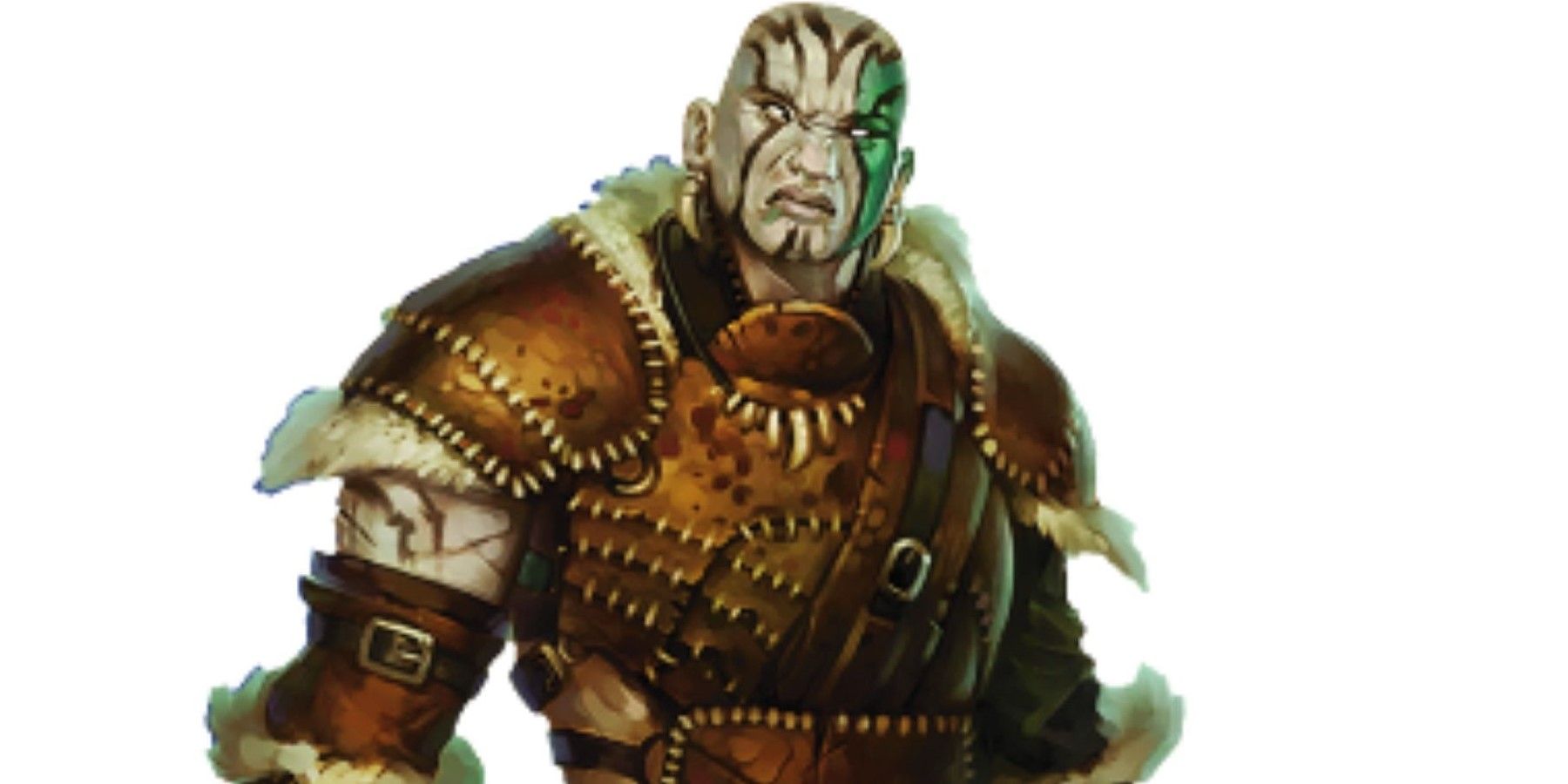 Dungeons & Dragons: 10 Best Character Species For Your Next Fighter