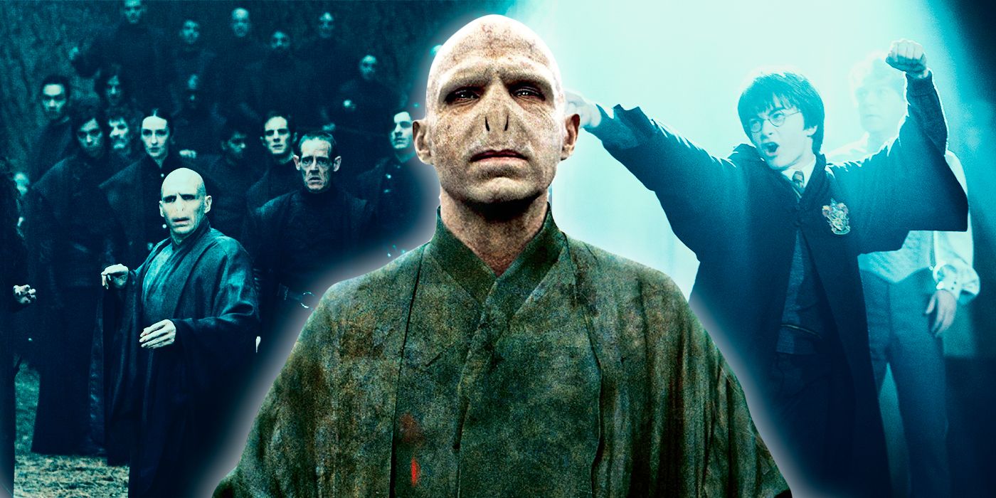 Harry Potter, Voldemort and the Death Eaters