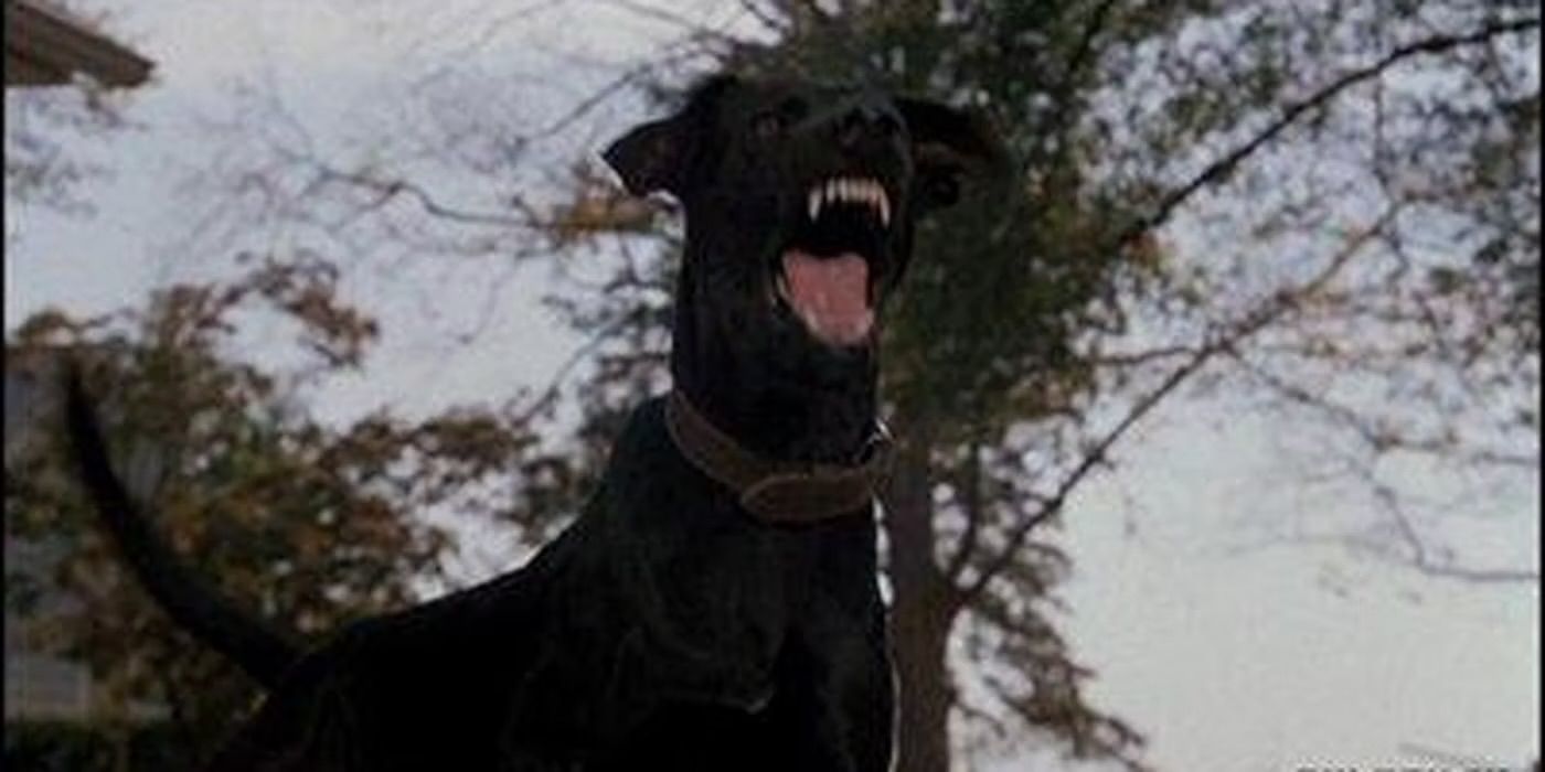 10 Great Thriller Movies Where the Dog Doesn't Die