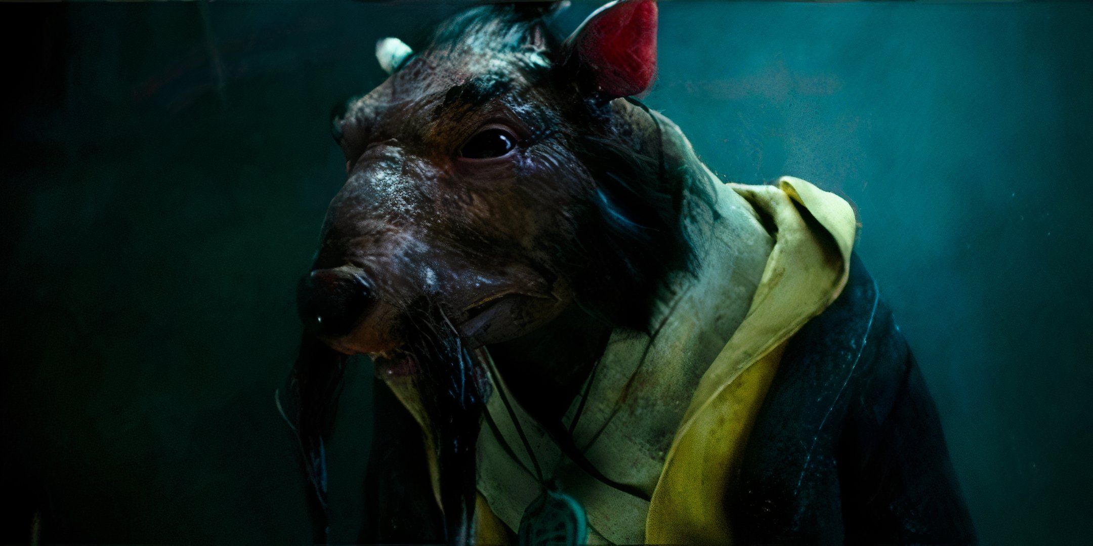 TMNT: 10 лучших адаптаций Master Splinter из всей франшизы