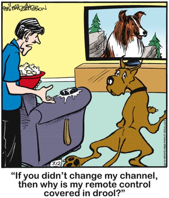 10 Funniest Marmaduke Comics, Ranked