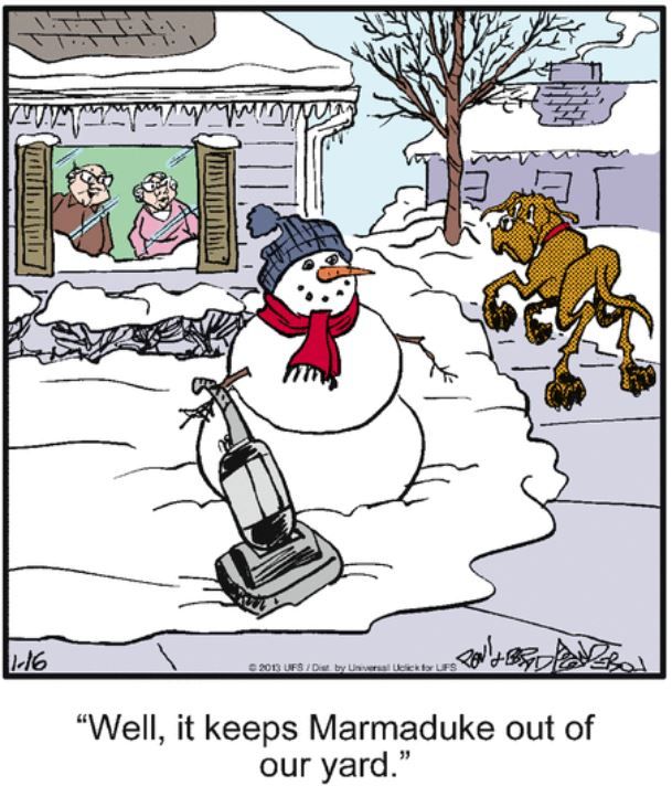 10 Funniest Marmaduke Comics, Ranked