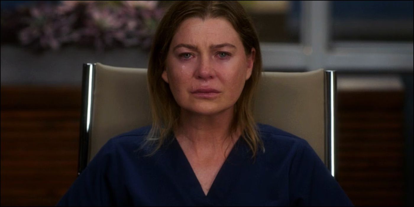 One of the Best Grey's Anatomy Seasons Has More Problems Than Fans Realize