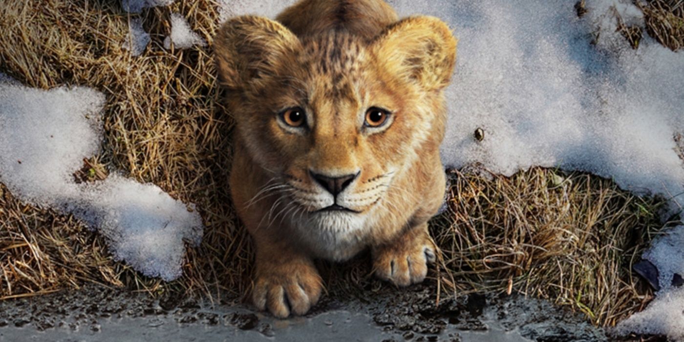 Everything We Know About Mufasa: The Lion King