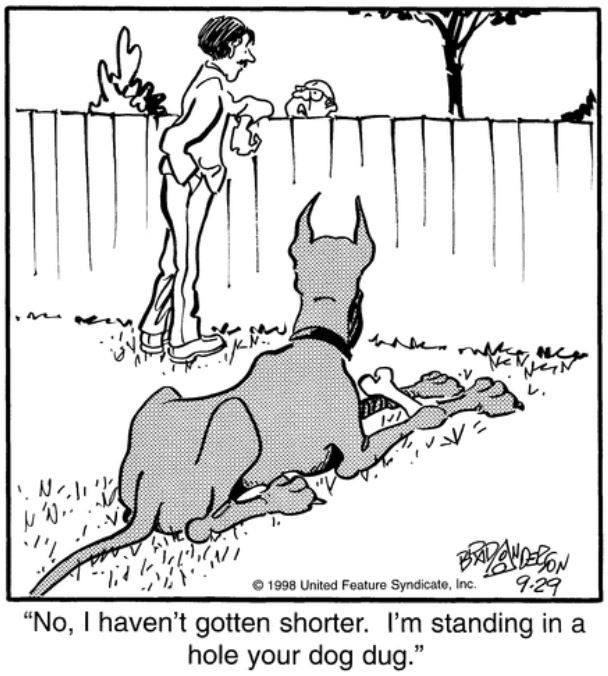 10 Funniest Marmaduke Comics, Ranked