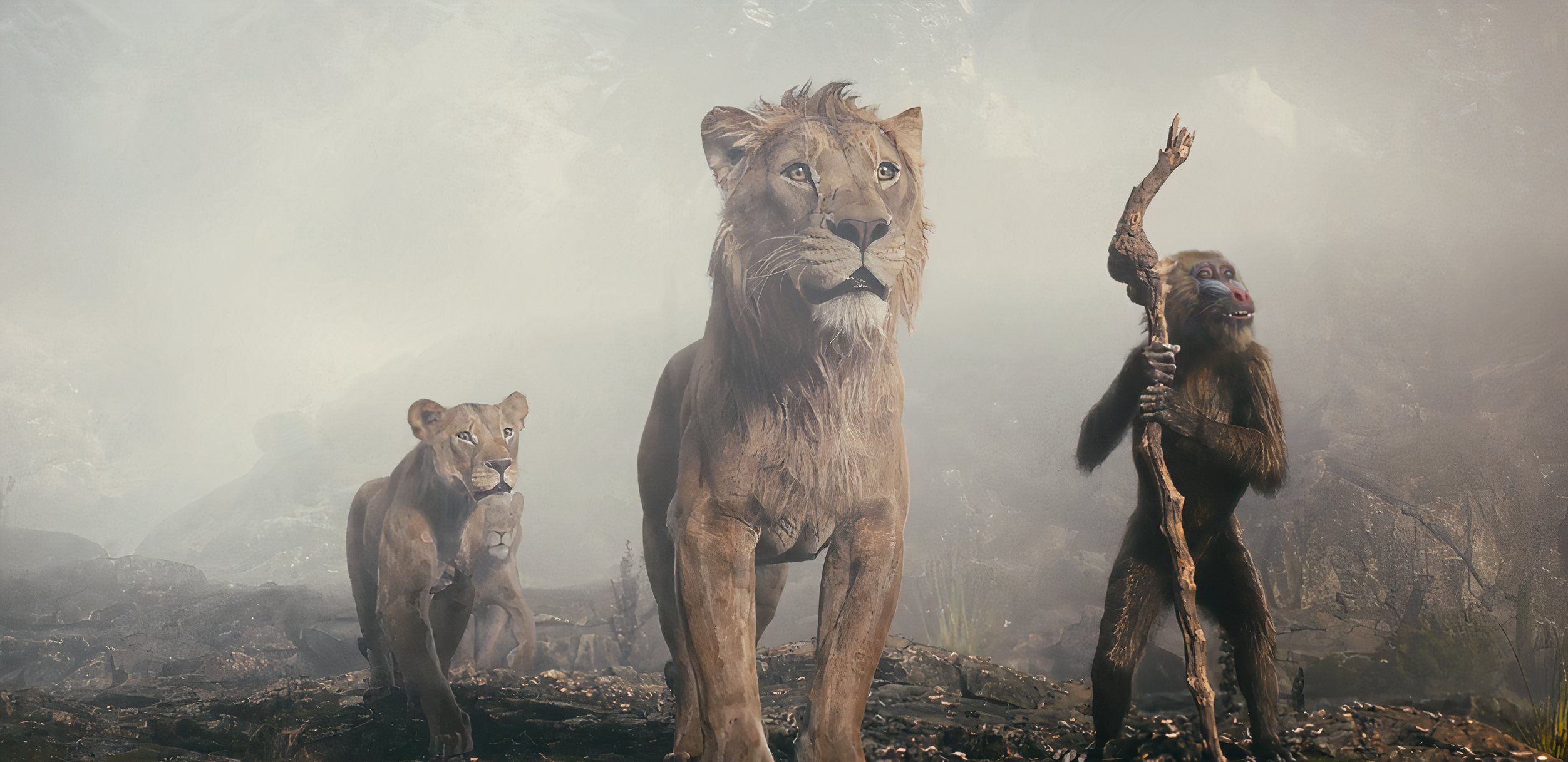 Everything We Know About Mufasa: The Lion King