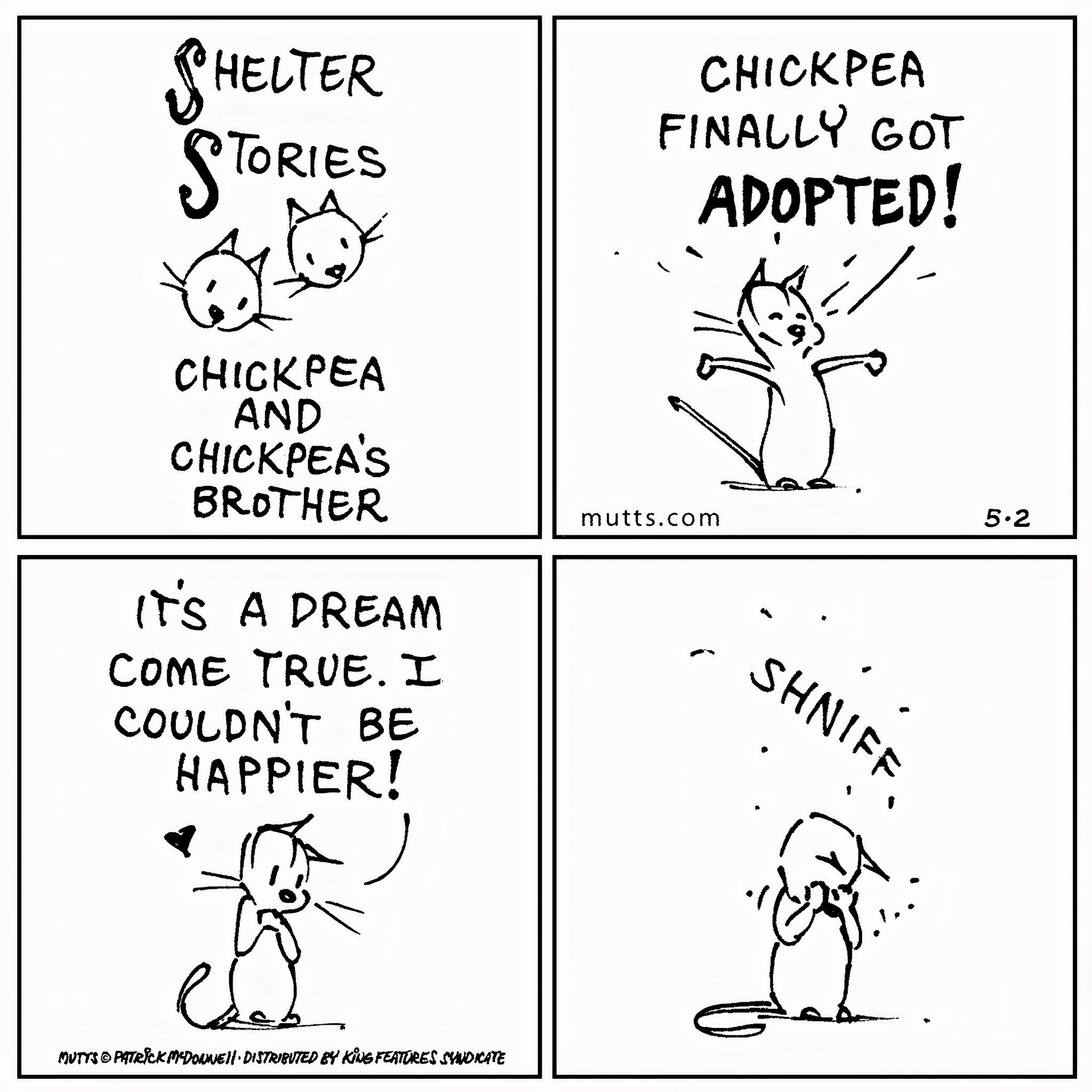 Mutts Shelter Stories Chickpea and Chickpea's Brother