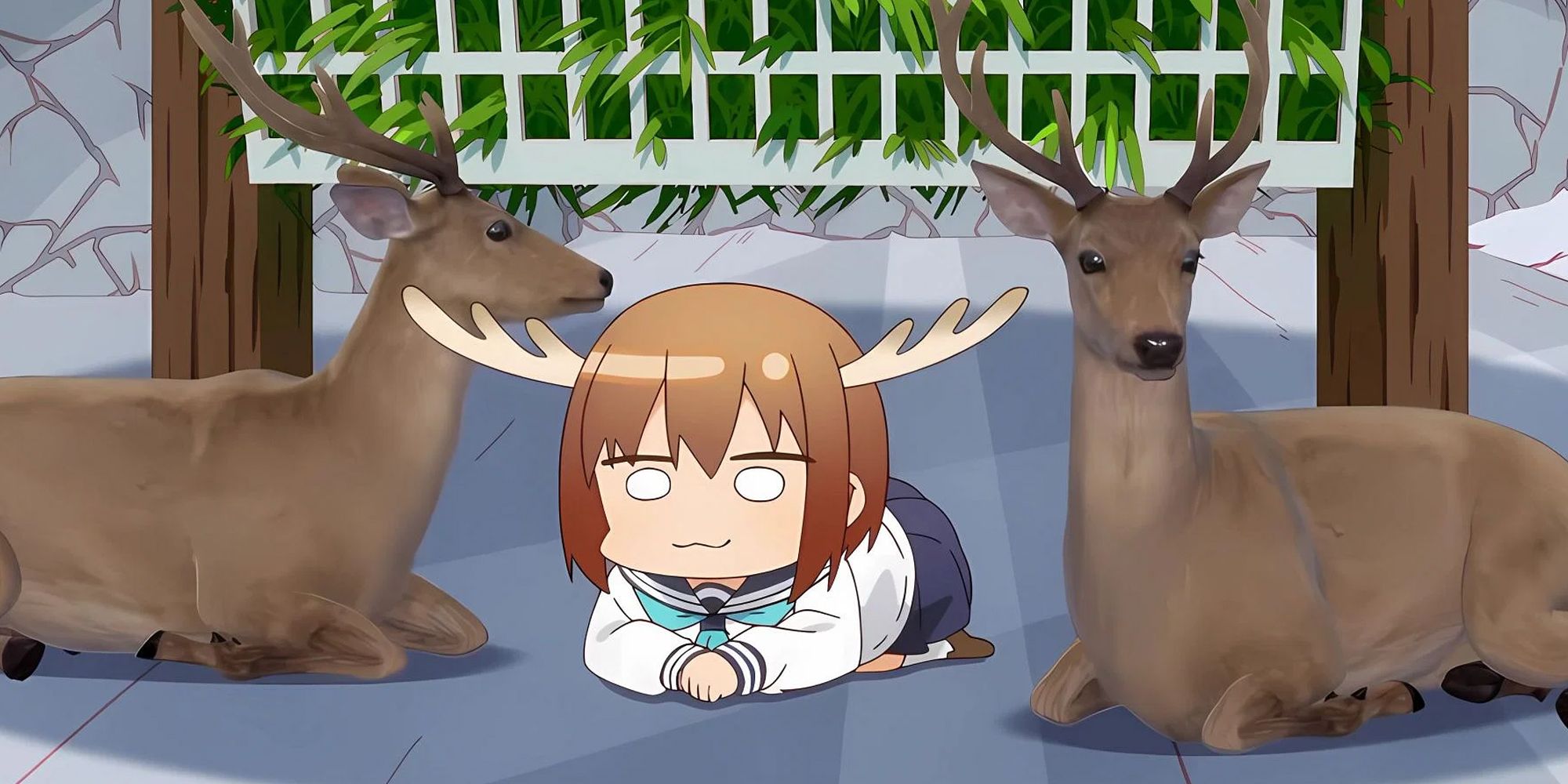 My Deer Friend Nokotan Episode 5 Finds the Sloppy Gag Animes Footing