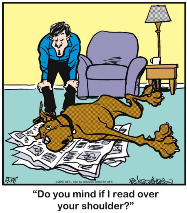 10 Funniest Marmaduke Comics, Ranked