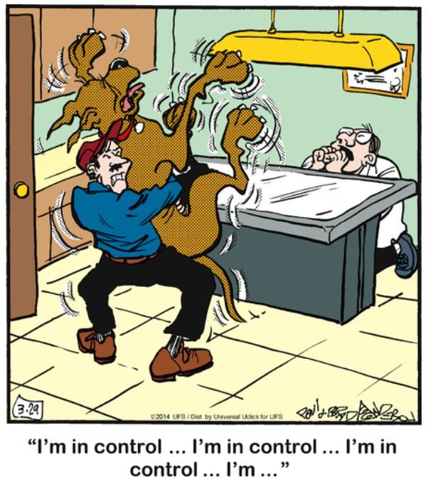 10 Funniest Marmaduke Comics, Ranked