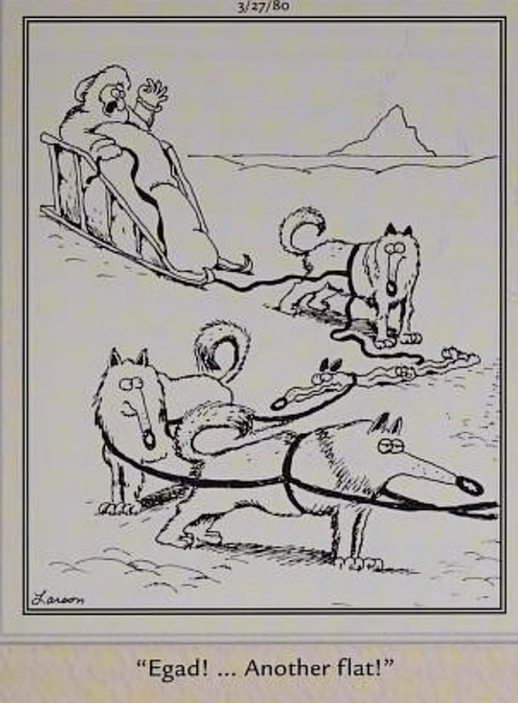 Um cachorro em uma fila de cães de trenó é esvaziado em The Far Side.