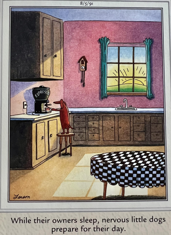 Um bassê está em um banquinho na cozinha fazendo café expresso em The Far Side.