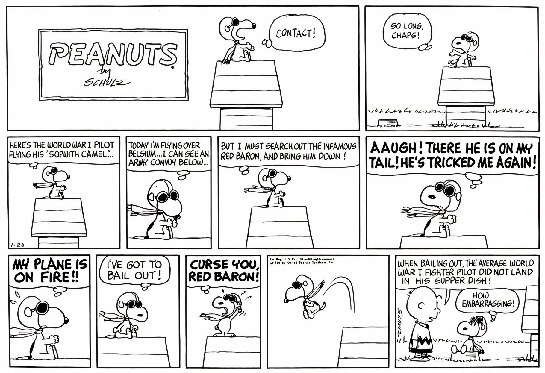 Snoopy's Greatest Moments In Peanuts, Ranked