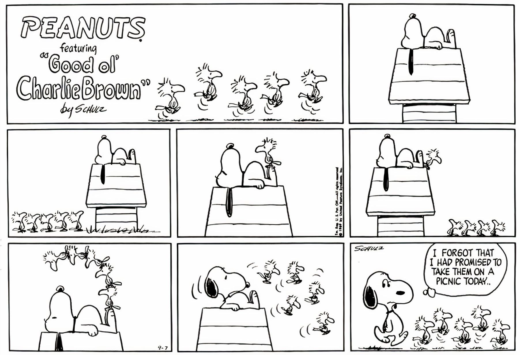 10 Cutest Peanuts Comic Strips, Ranked