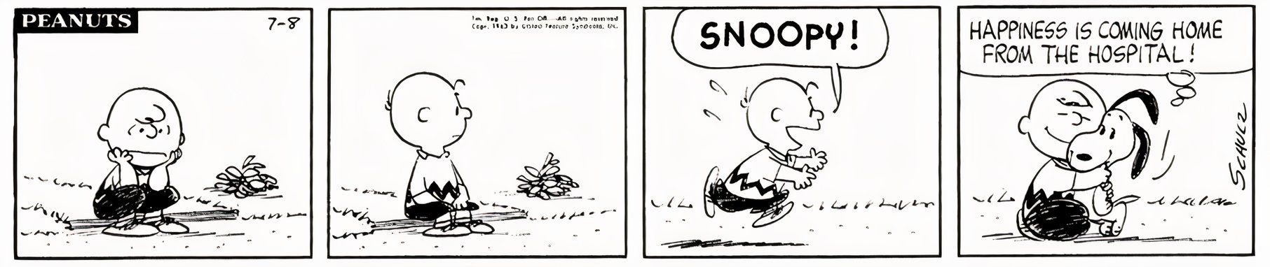 10 Cutest Peanuts Comic Strips, Ranked