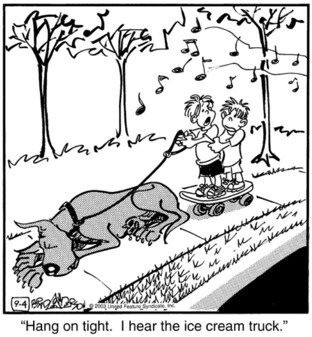 10 Funniest Marmaduke Comics, Ranked