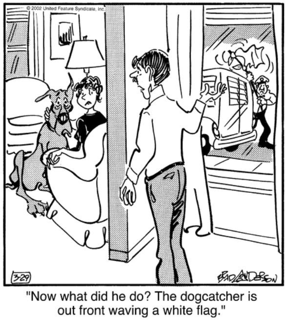 10 Funniest Marmaduke Comics, Ranked