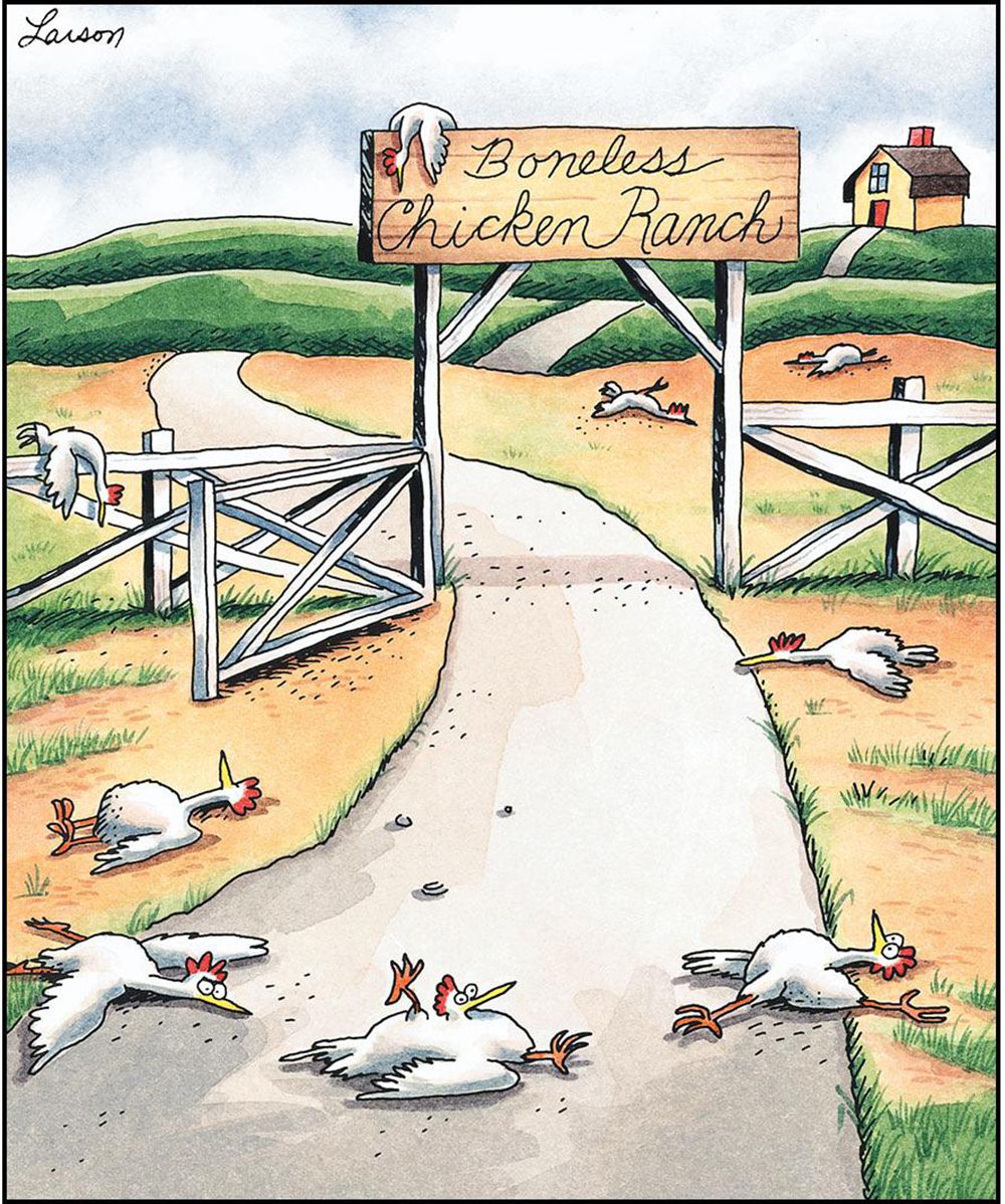 10 Funniest The Far Side Comics Featuring Chickens, Ranked