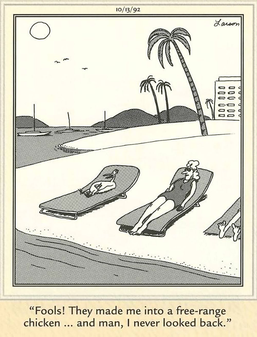 10 Funniest The Far Side Comics Featuring Chickens, Ranked