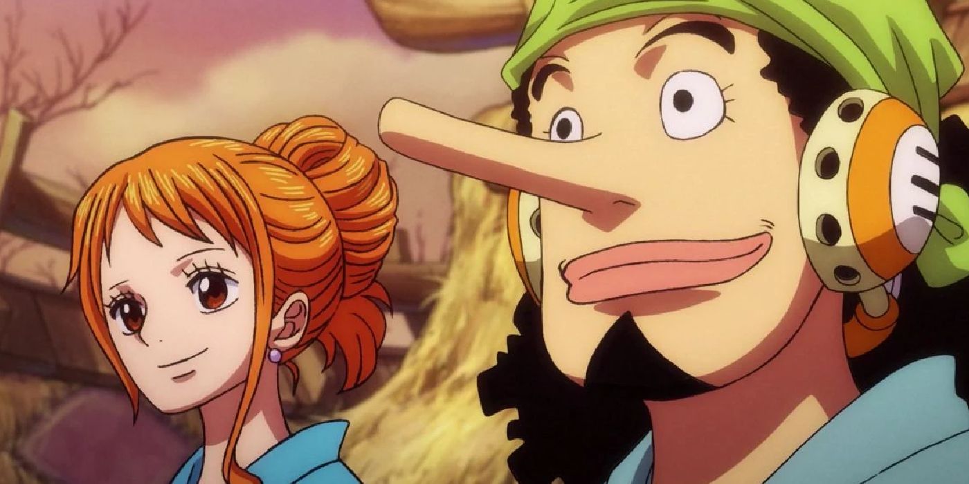 One Piece's Best Straw Hat Relationship Dynamics