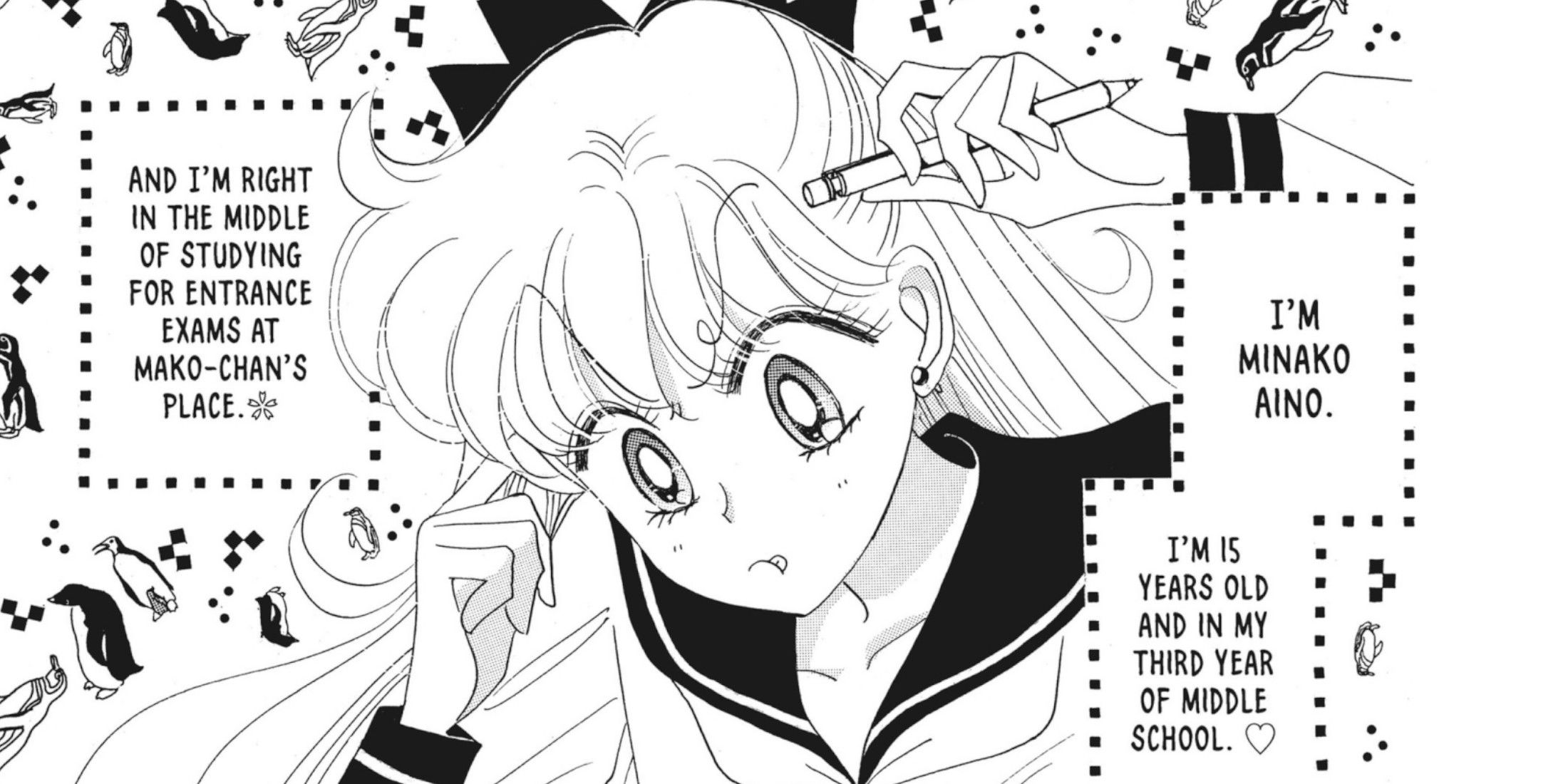 Sailor Moon: What Are The Exam Battle Stories?