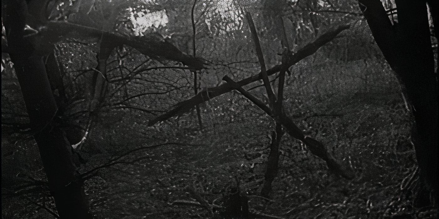 Blair Witch Producer Reveals Everyone's Been Watching the Wrong Version of the Film