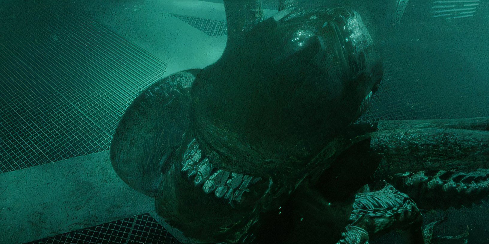 The Alien Franchise's 10 Best Action Scenes, Ranked