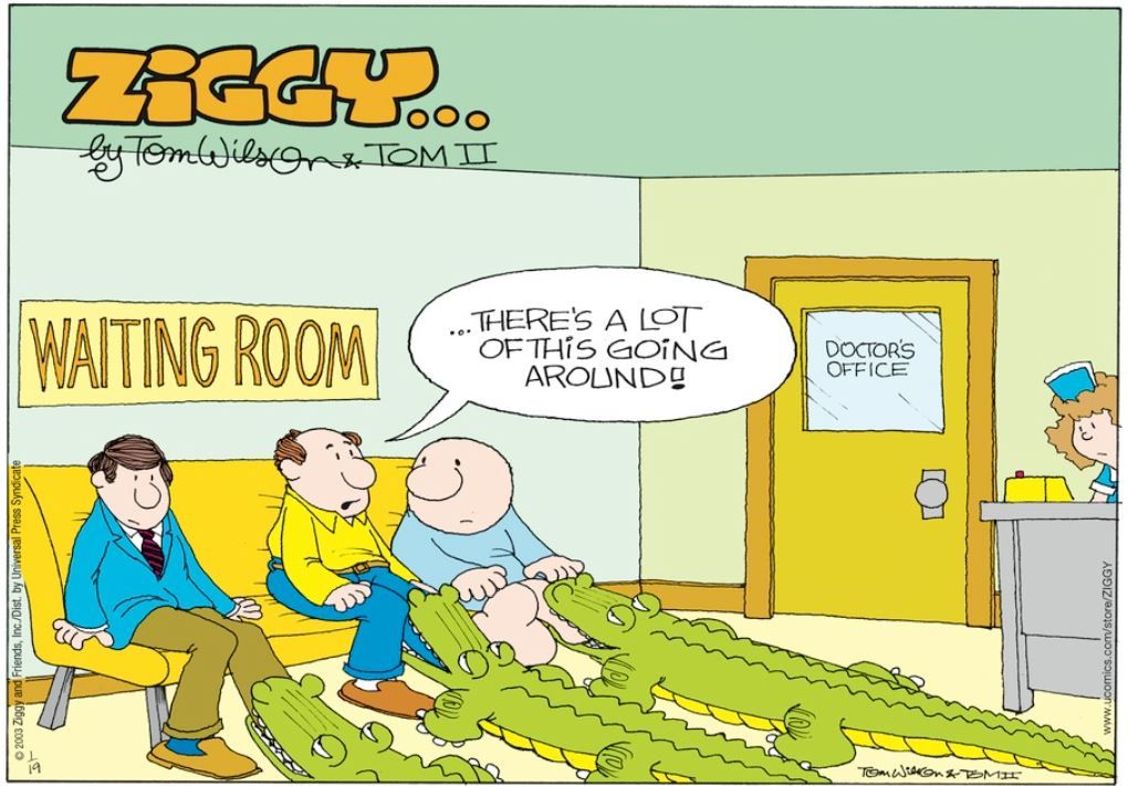 10 Best Ziggy Comics, Ranked